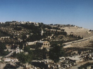 Blick auf den Ölberg