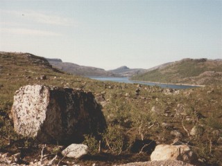 Fjällgebiert an der Nordmeerküste